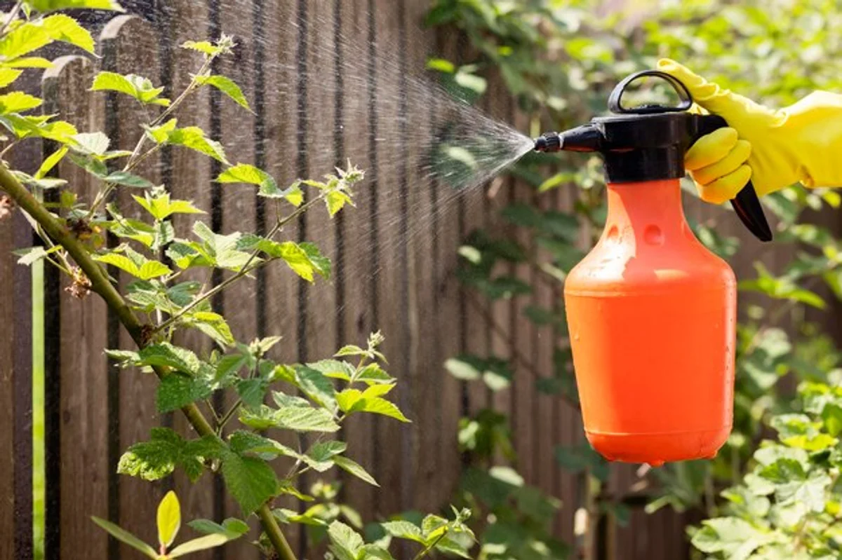 handmade soap water spray for garden pests on leaves