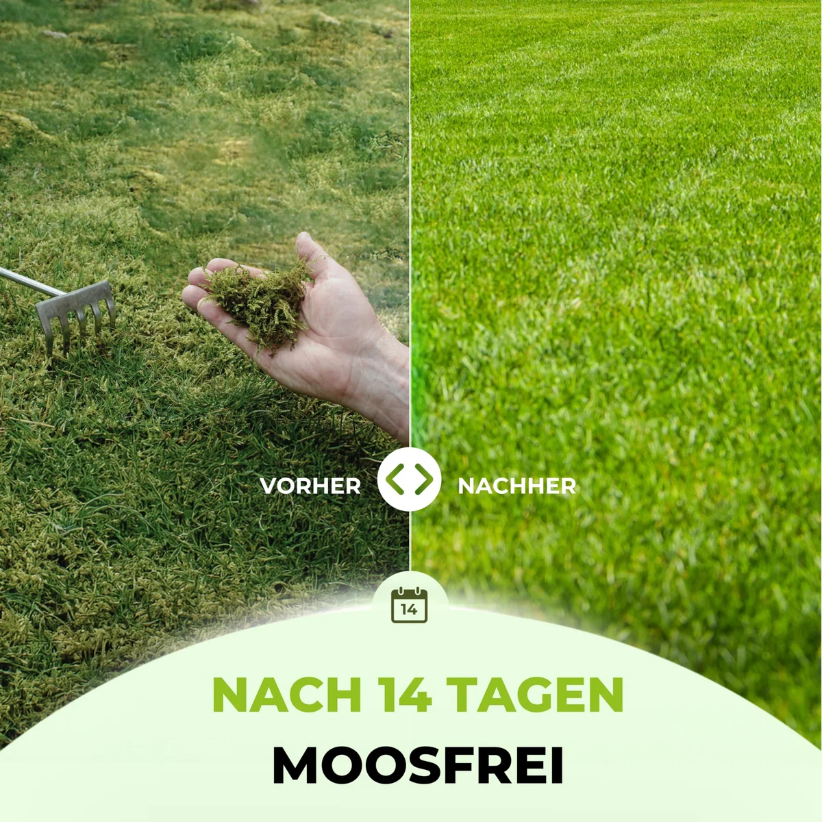 hand spreading lawn lime to prevent moss eco garden germany closeup