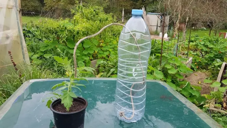 sustainable greenhouse recycled materials germany