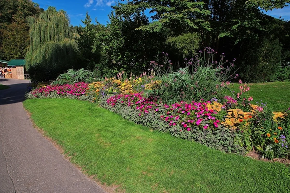 wildflower meadow in german backyard