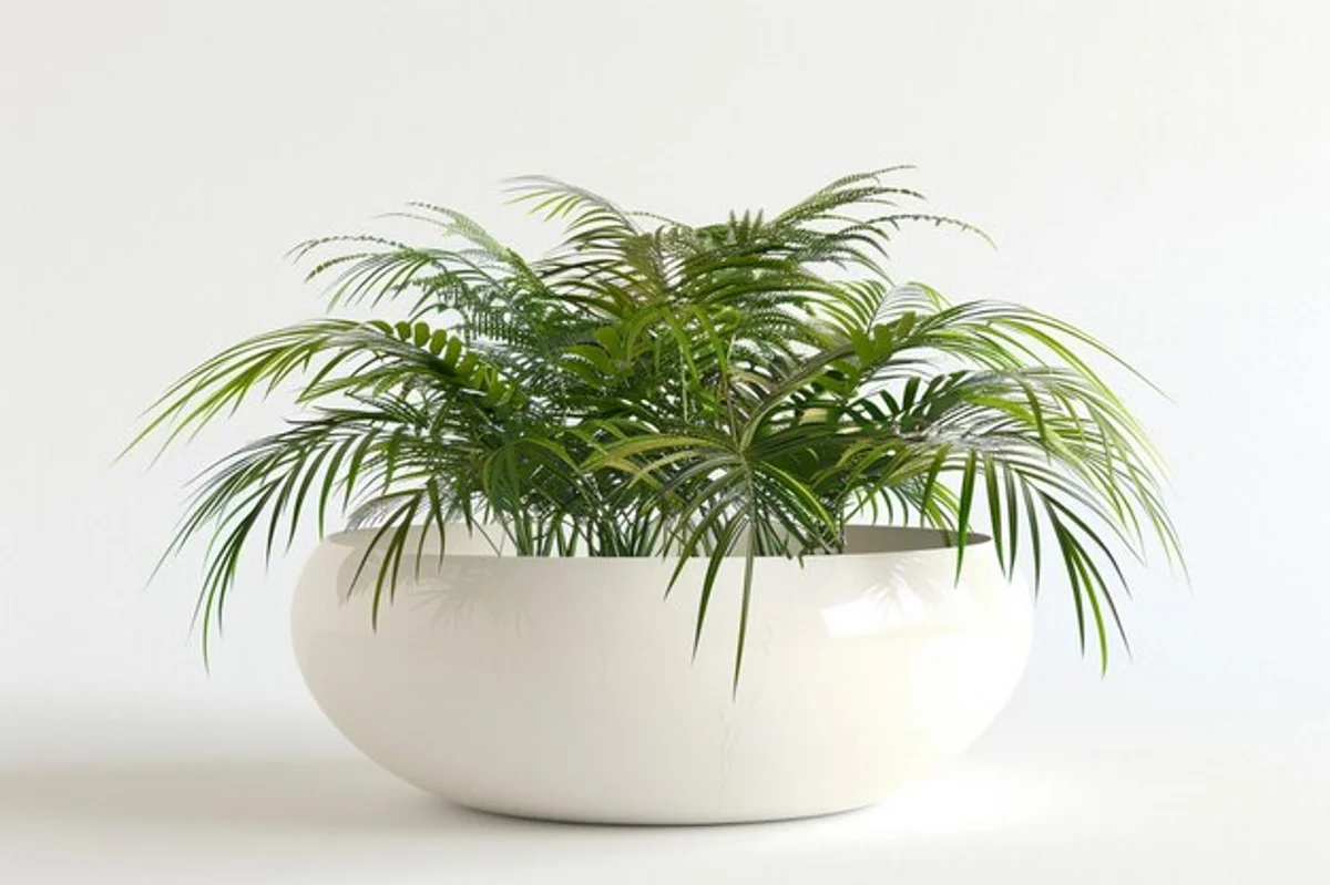 feng shui plant placement modern living room