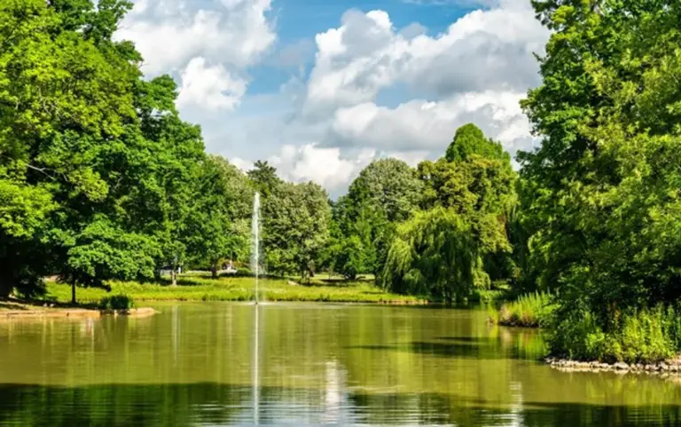 beautiful natural wildlife pond in german countryside garden