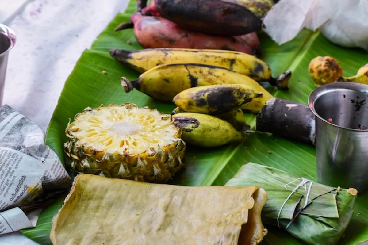 resistant apple varieties in German garden