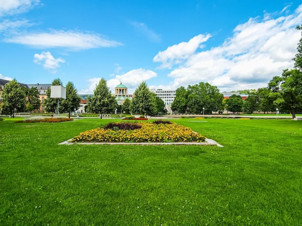 eco friendly no mow garden in germany