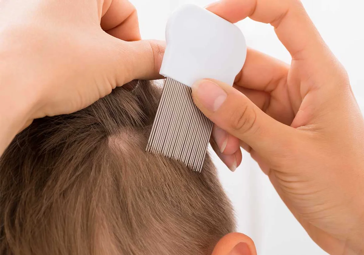 eltern haare auskämmen läuse hausmittel kinderzimmer