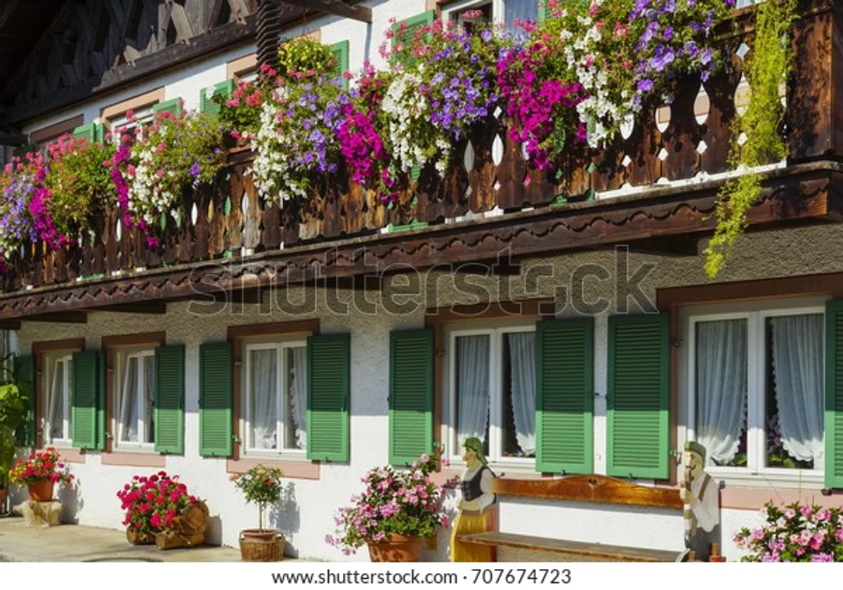 overwatered balcony flowers Germany