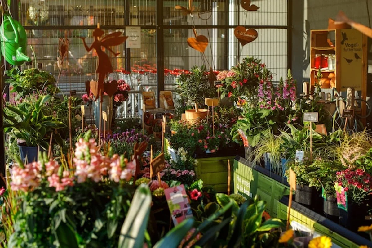bee friendly unique garden plants germany