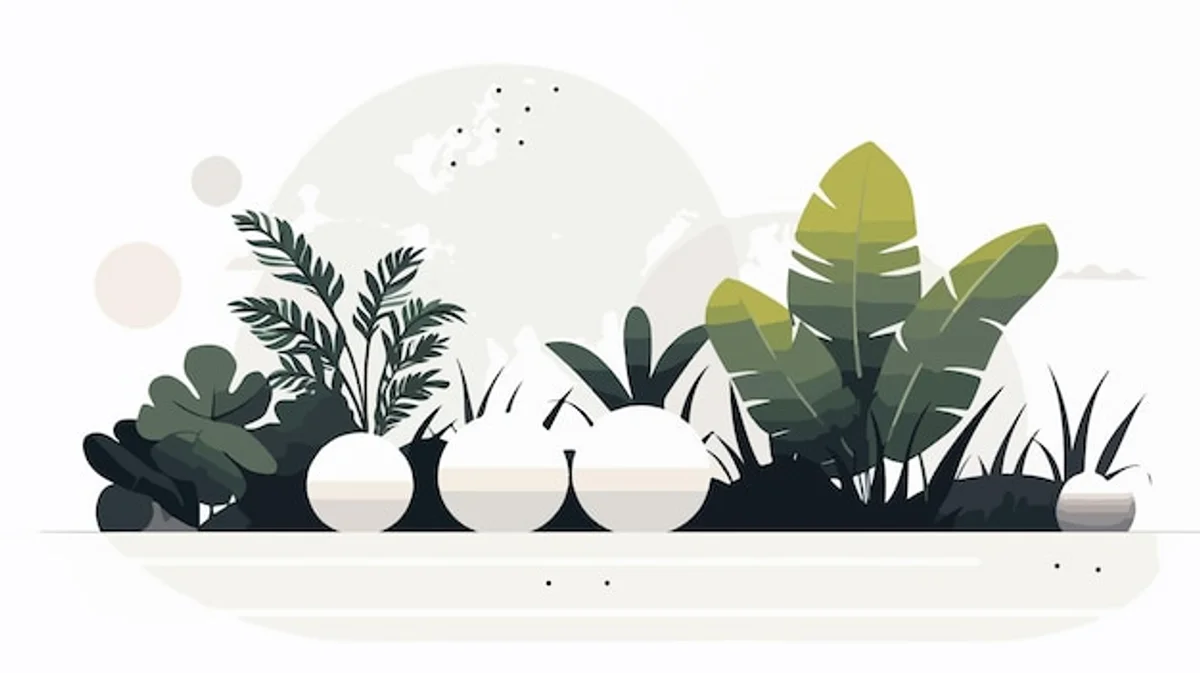 dense garden planting and struggling lawn in summer