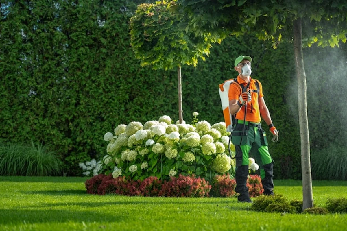 lawn maintenance under trees tips Germany