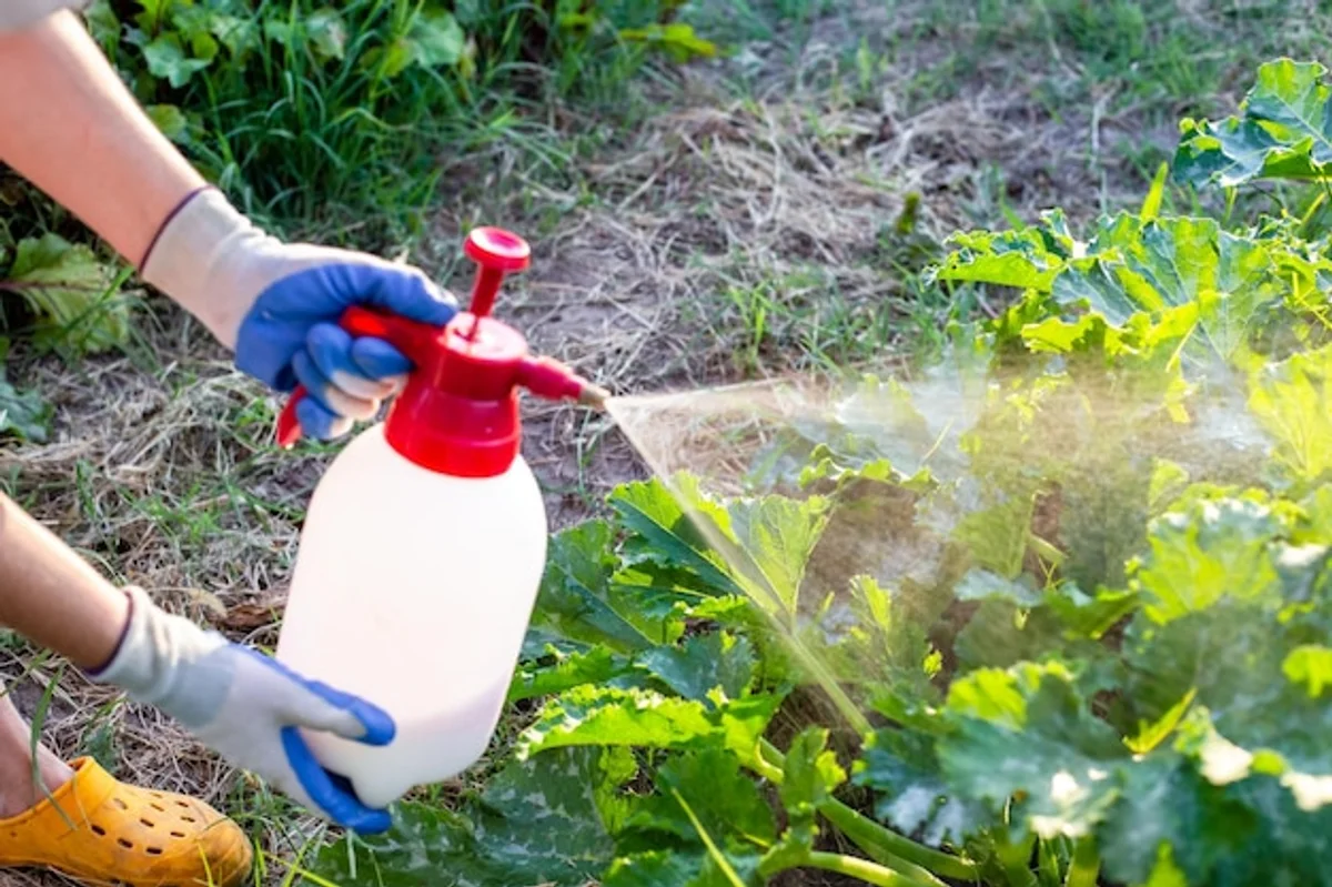 zucchini plant natural pest control home garden