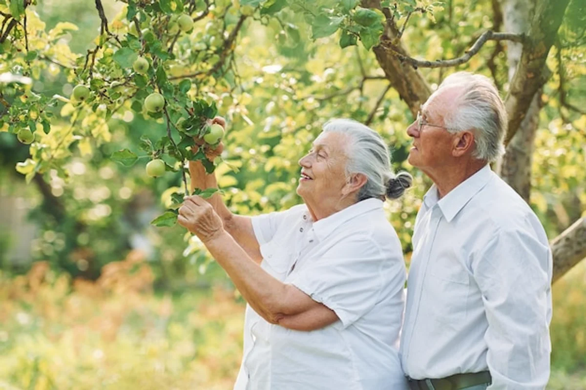 senior in garden with apple tree