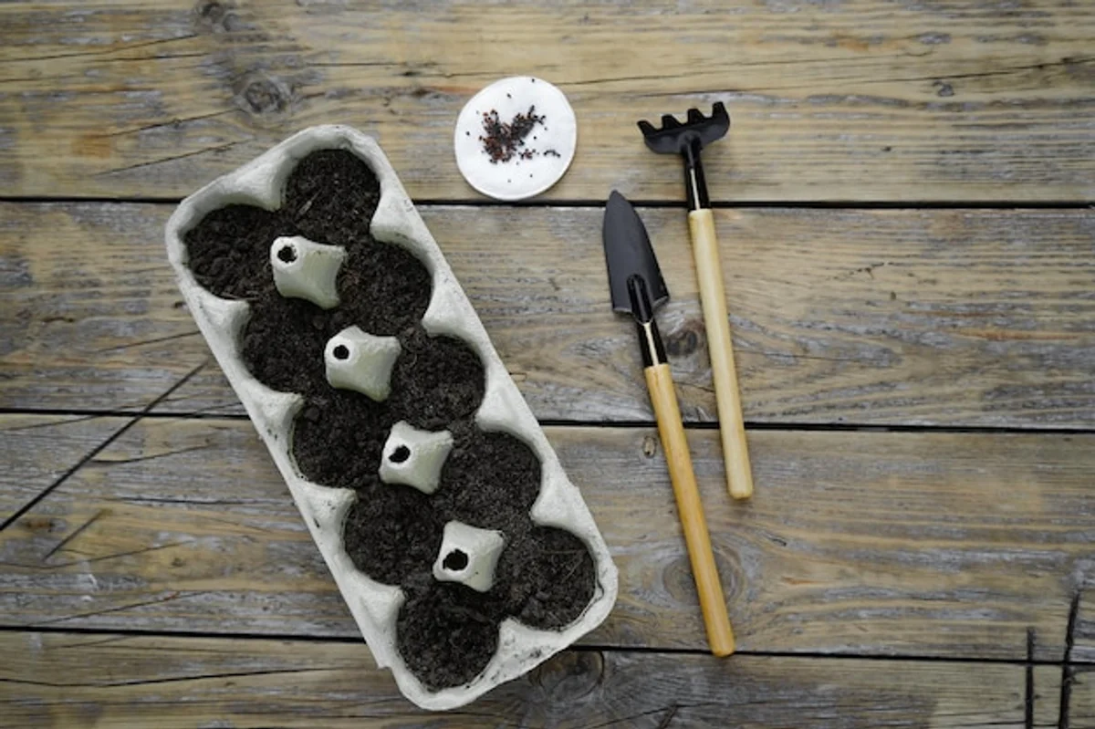 recycled egg carton planting, home gardening hands