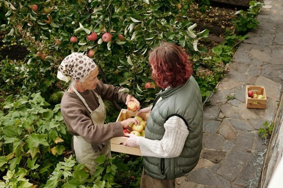 elderly woman using fruit picker in garden