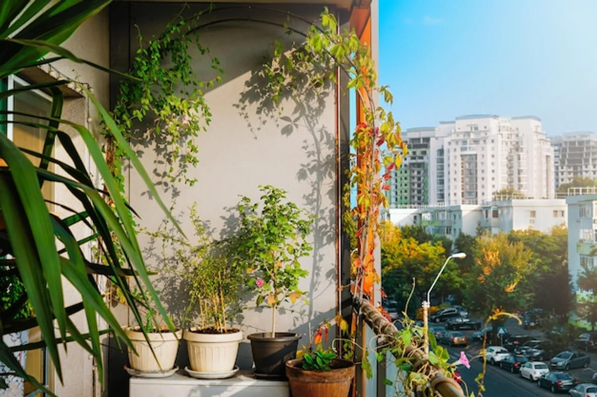 urban balcony garden with seedlings and city view