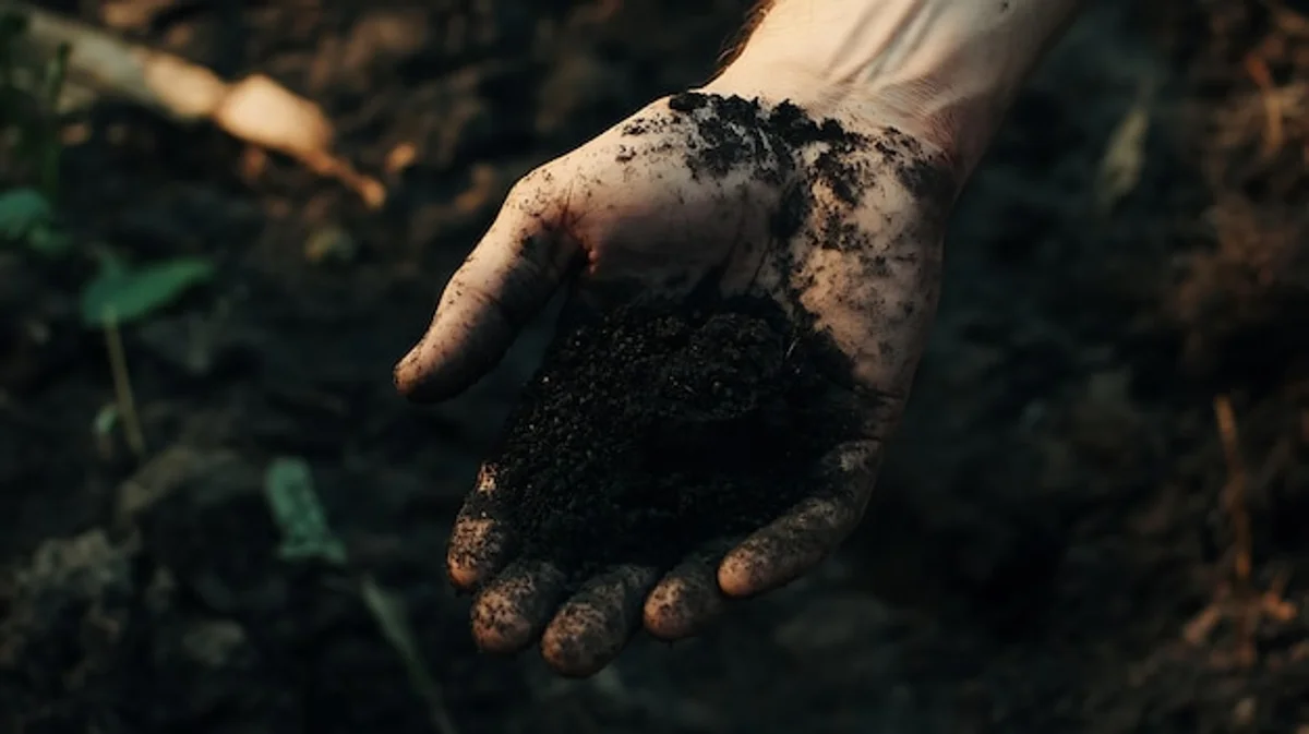 hand holding rich compost soil close up Germany garden