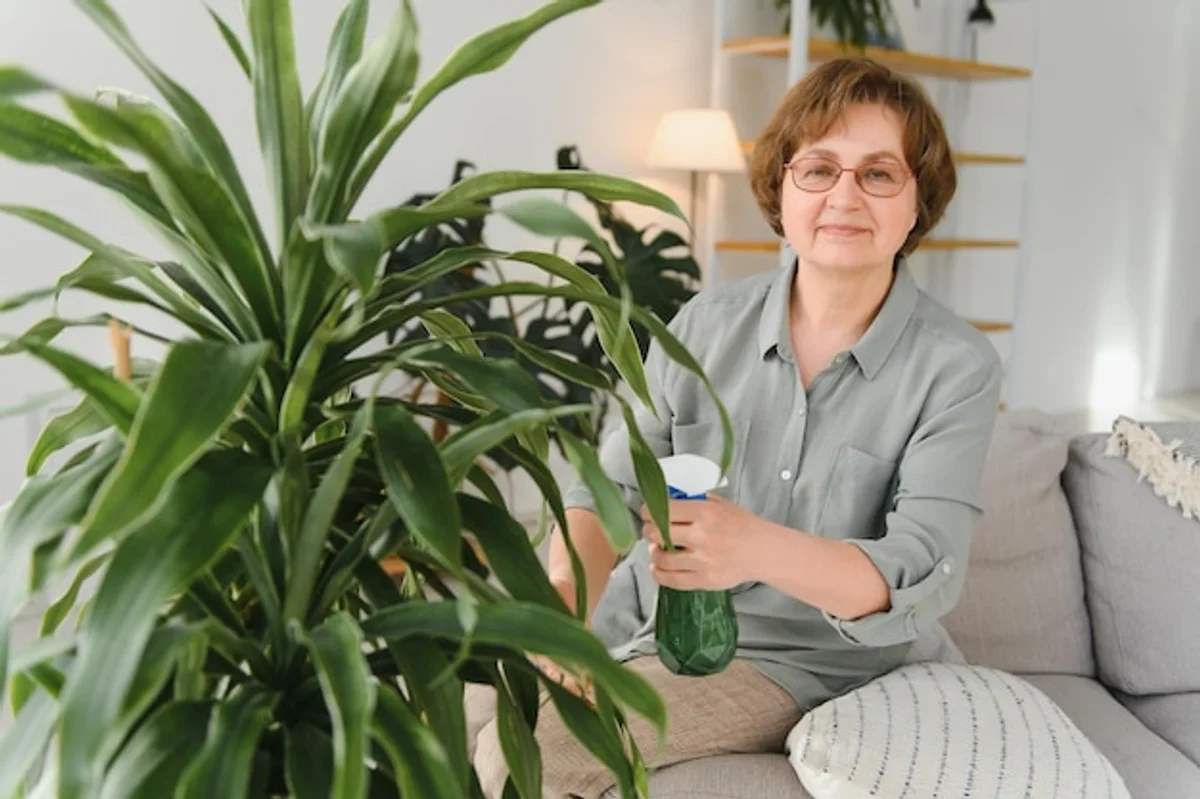 happy senior woman with indoor plants at home