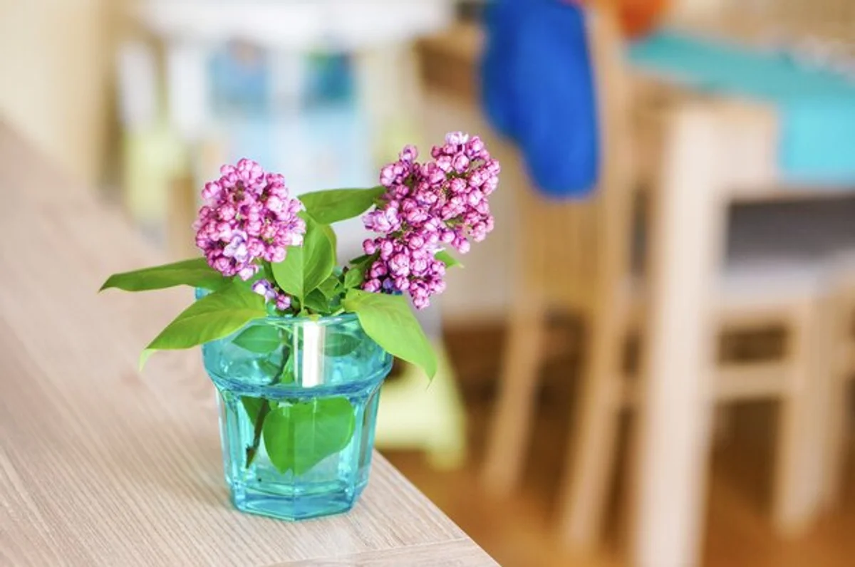 lavender windowsill kitchen germany