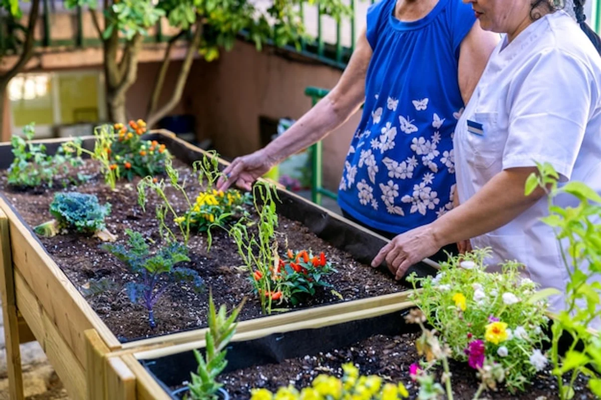 raised garden beds in senior-friendly garden