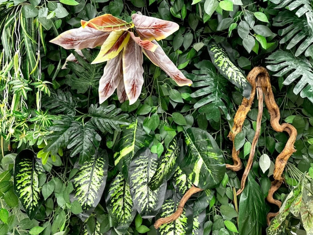 vertical vegetable garden inspiration Germany