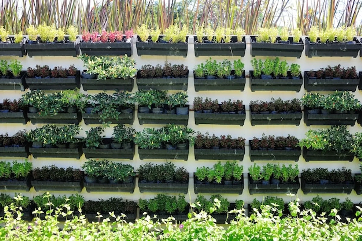 vertical vegetable garden in small backyard Germany