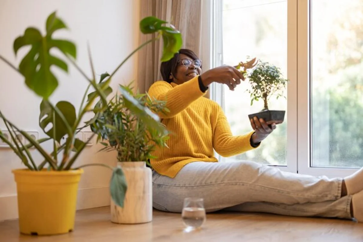 growing seedlings on windowsill home older person