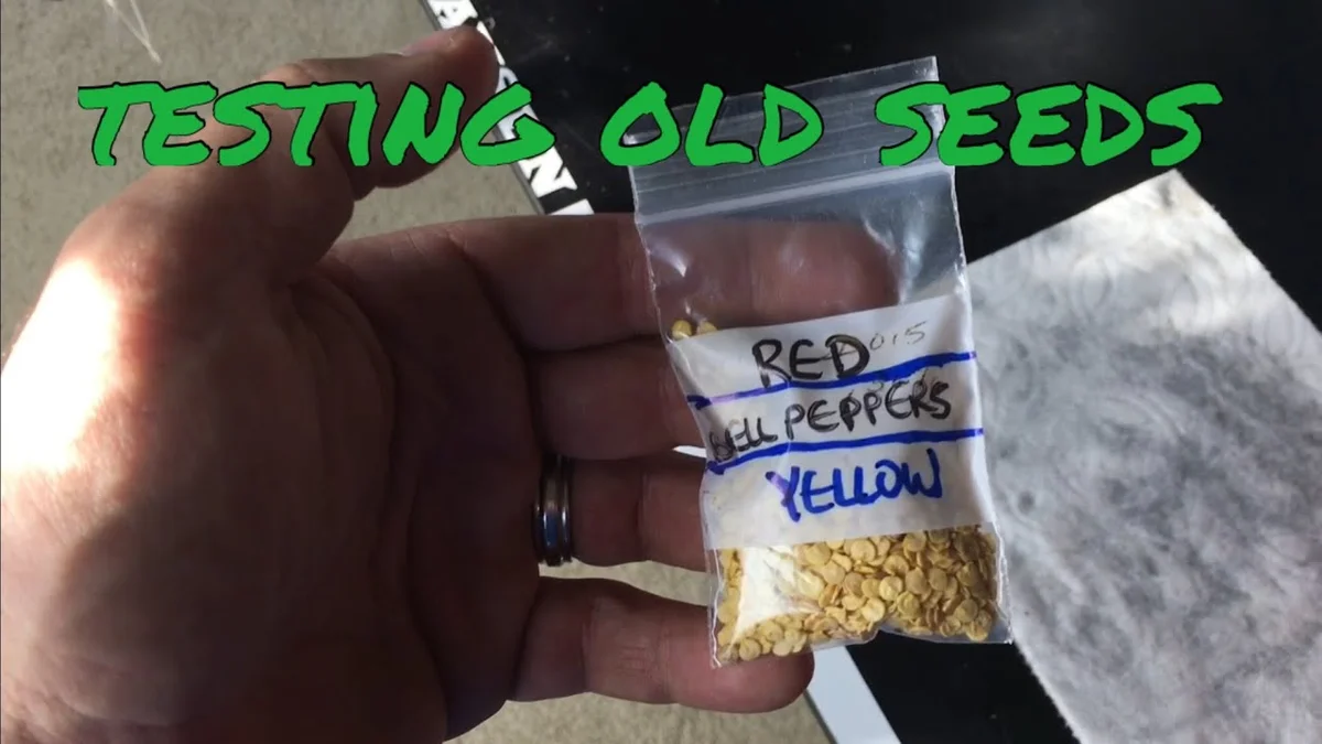 testing old seeds for viability method home