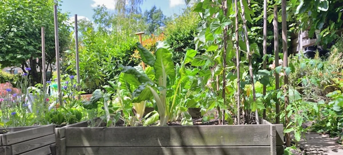 raised garden beds with seating for elderly
