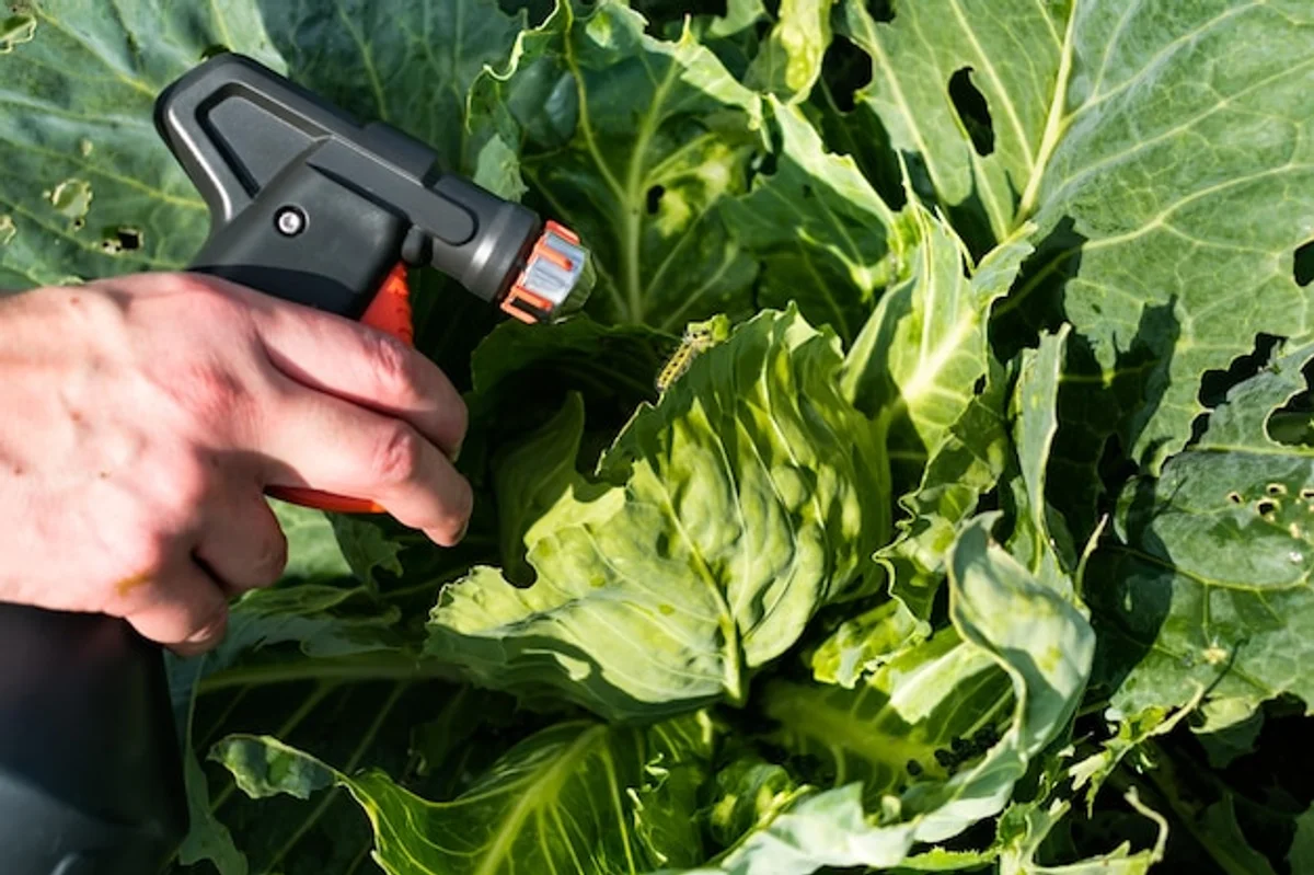 natural garden pest control homemade remedies Germany