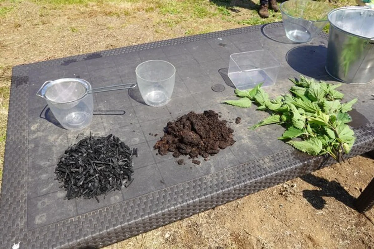 homemade organic fertilizer kitchen scraps gardening compost