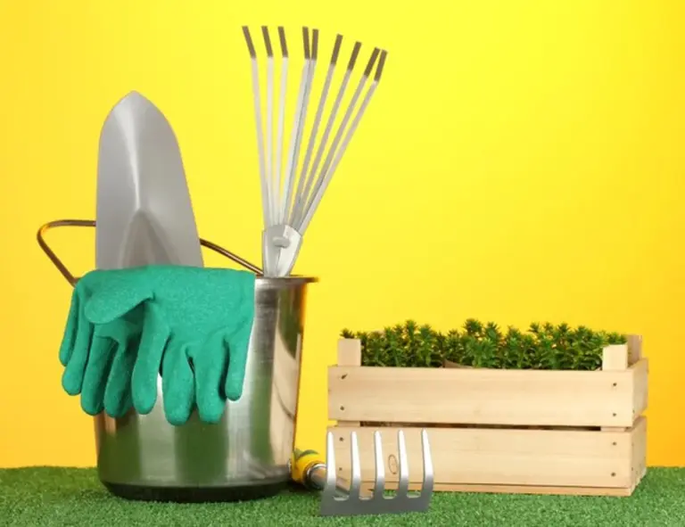 close-up household items cleaning garden tools before and after