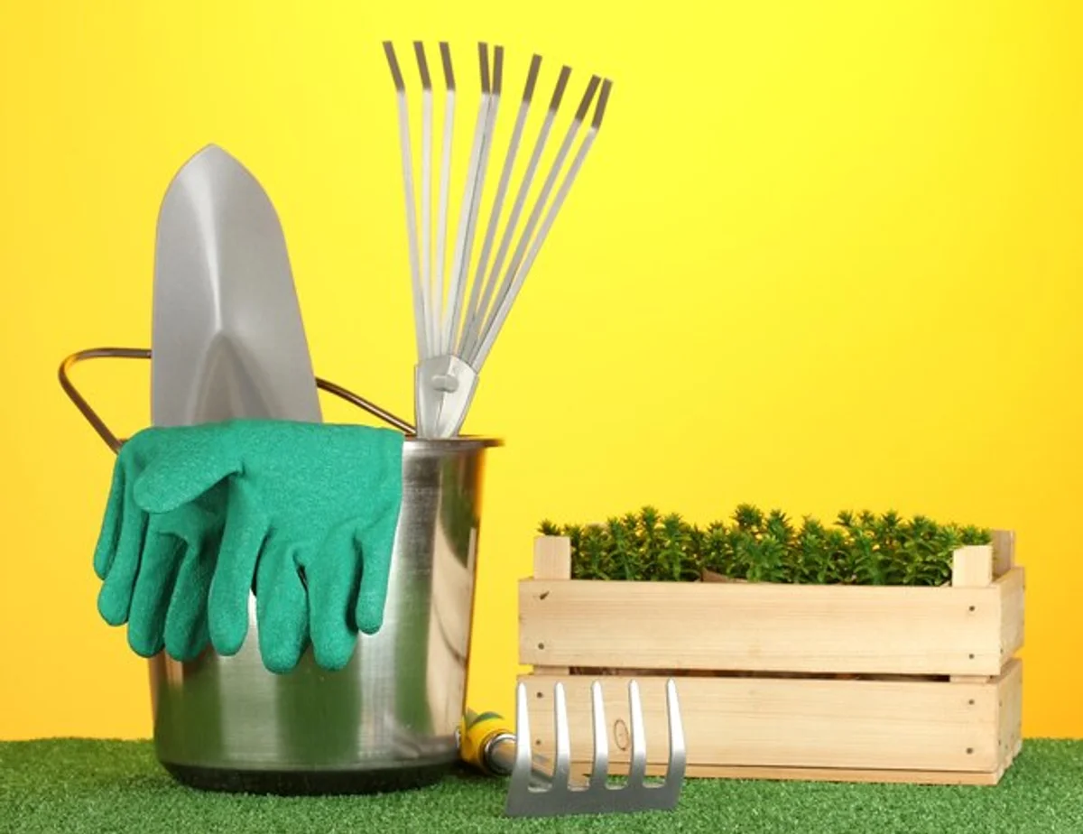 close-up household items cleaning garden tools before and after