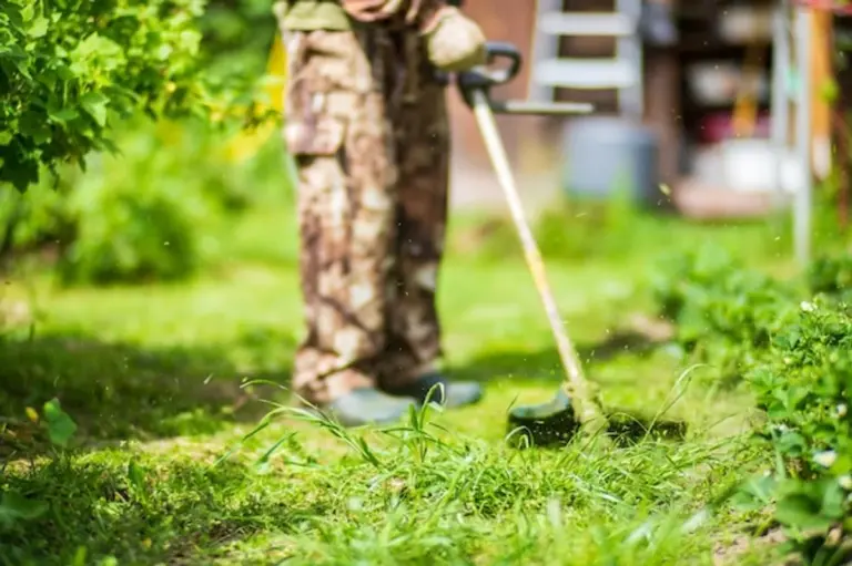 manual vs electric gardening tools in use