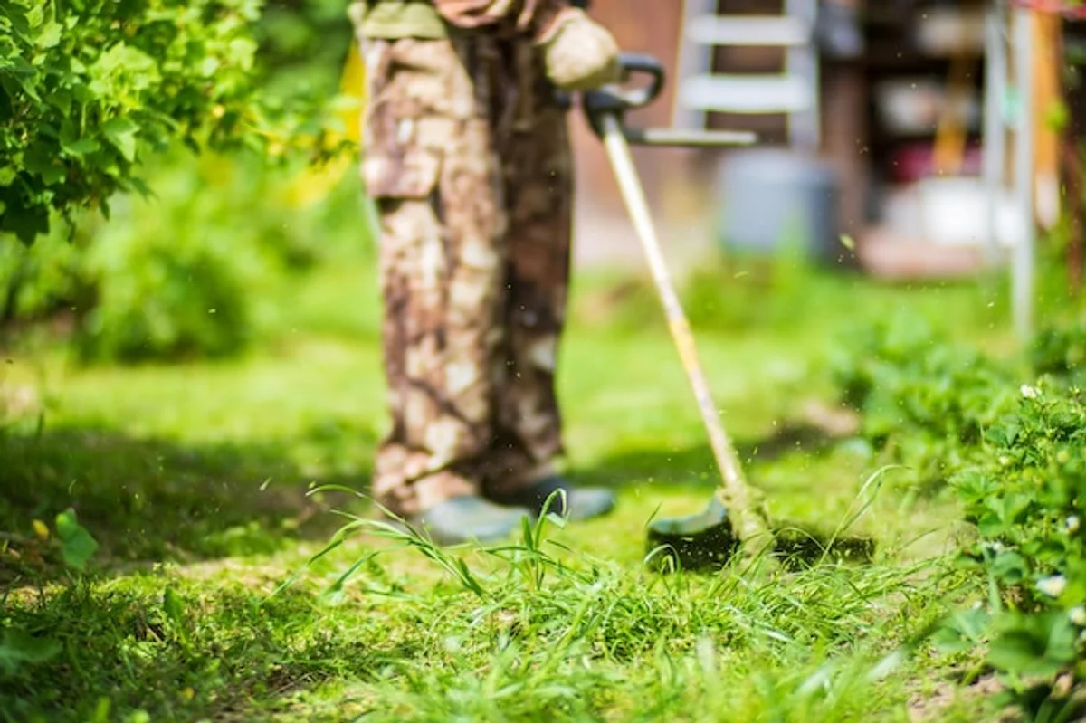 manual vs electric gardening tools in use
