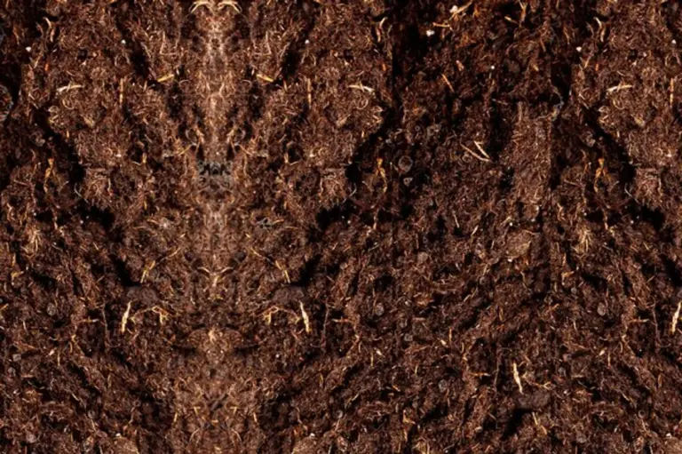 healthy garden soil texture Germany