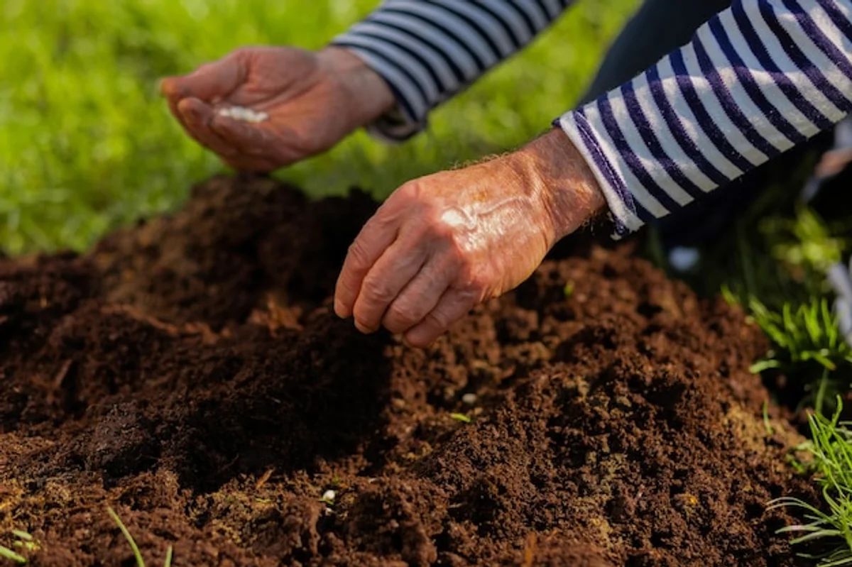 close up soil structure garden Germany