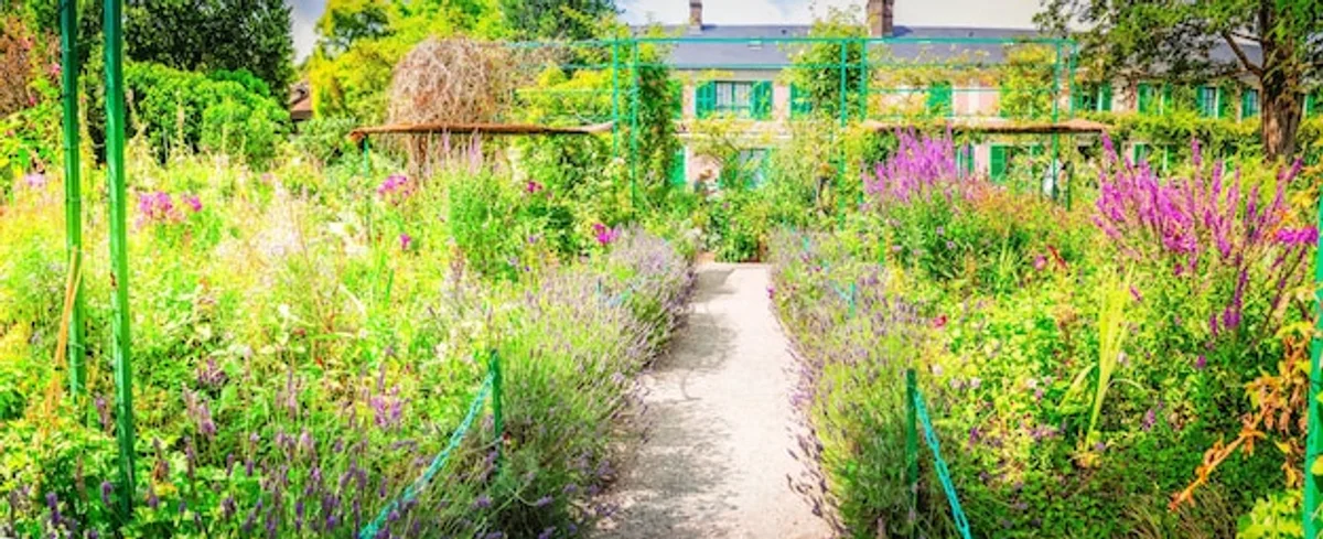 wildflower meadow backyard germany