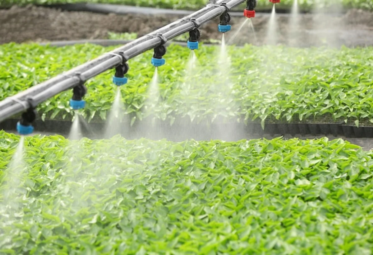 greenhouse watering techniques