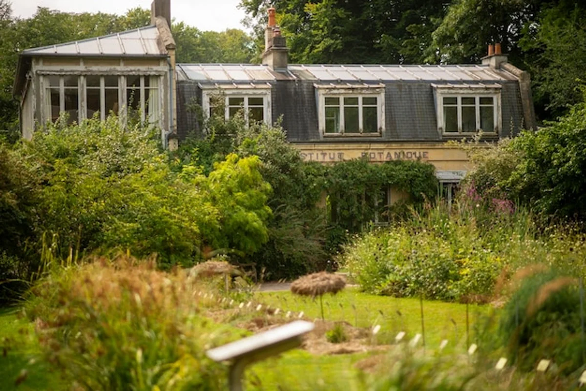 old grass seeds in vintage garden shed