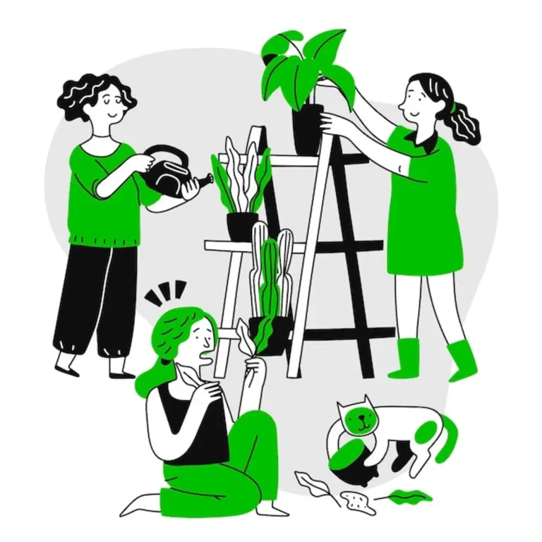 elderly hands caring easy indoor plant