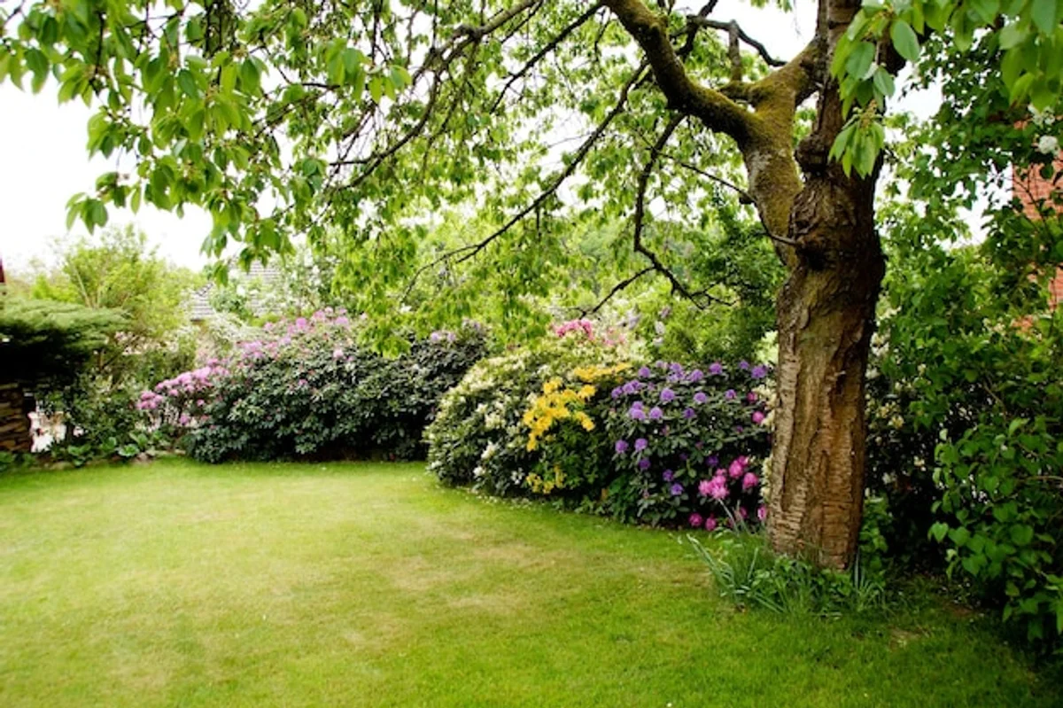 seedlings indoor early spring german garden