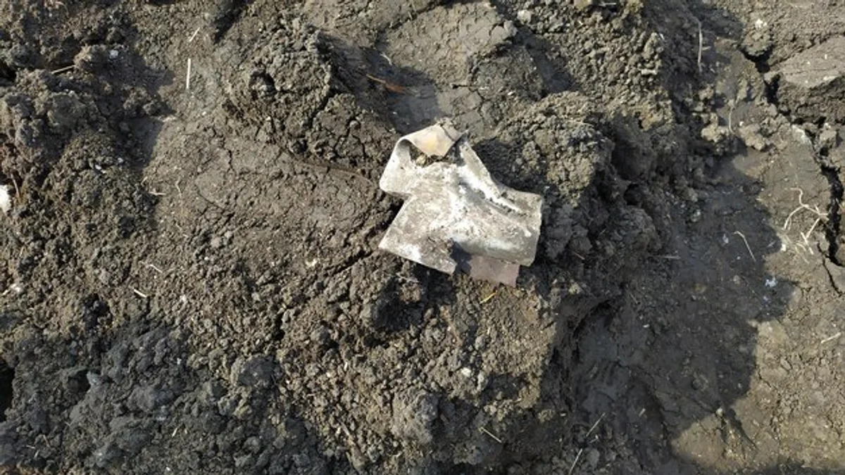 frost damaged seedlings german garden