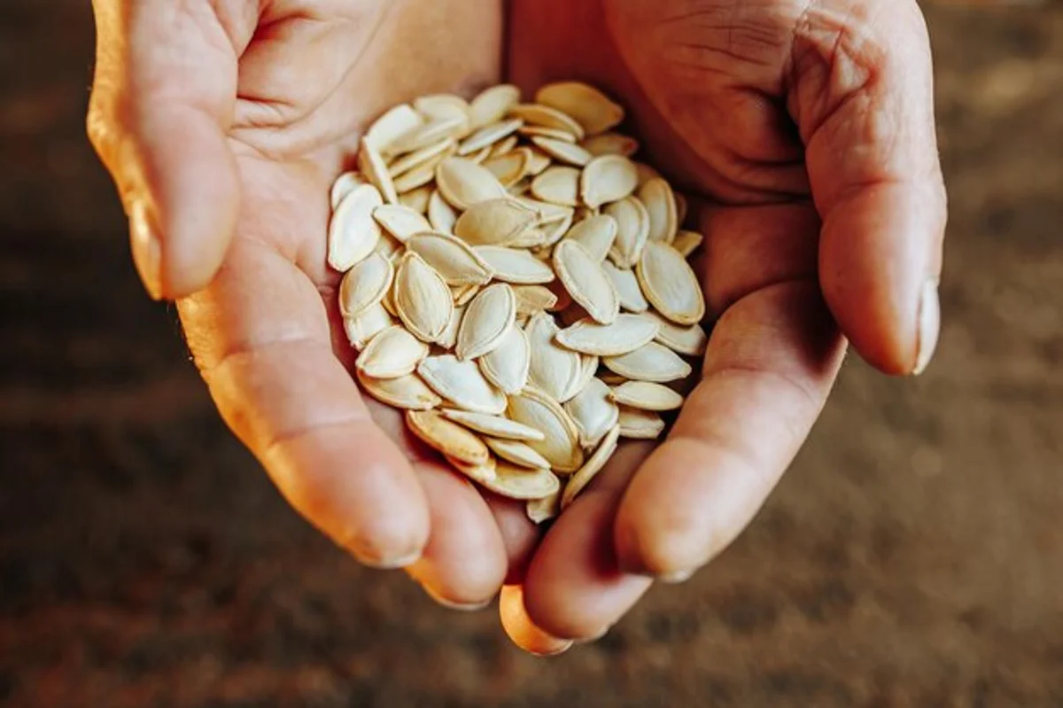 old seeds in hand close up garden