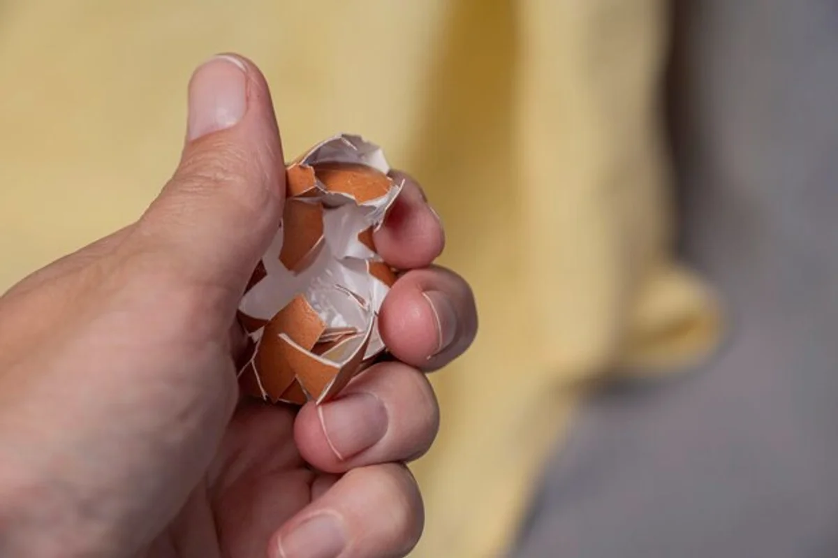 hand crushing eggshells in vegetable garden