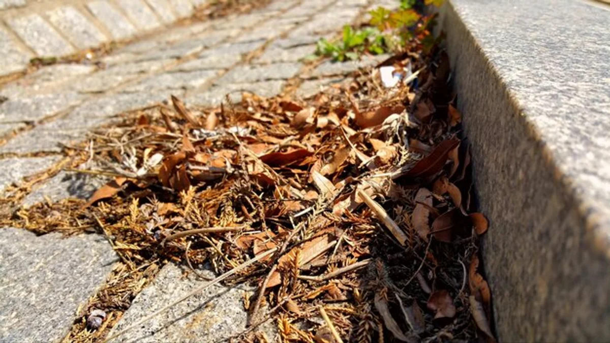 mulched vegetable bed with autumn leaves Germany
