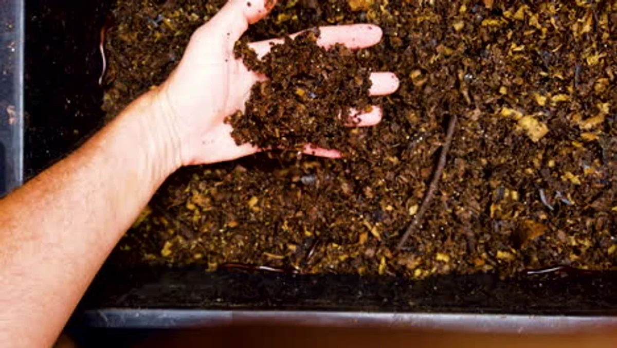 hands mixing sand into garden soil for carrots