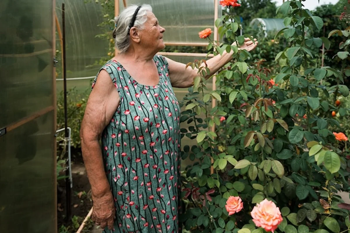 elderly woman gardening raised bed Germany