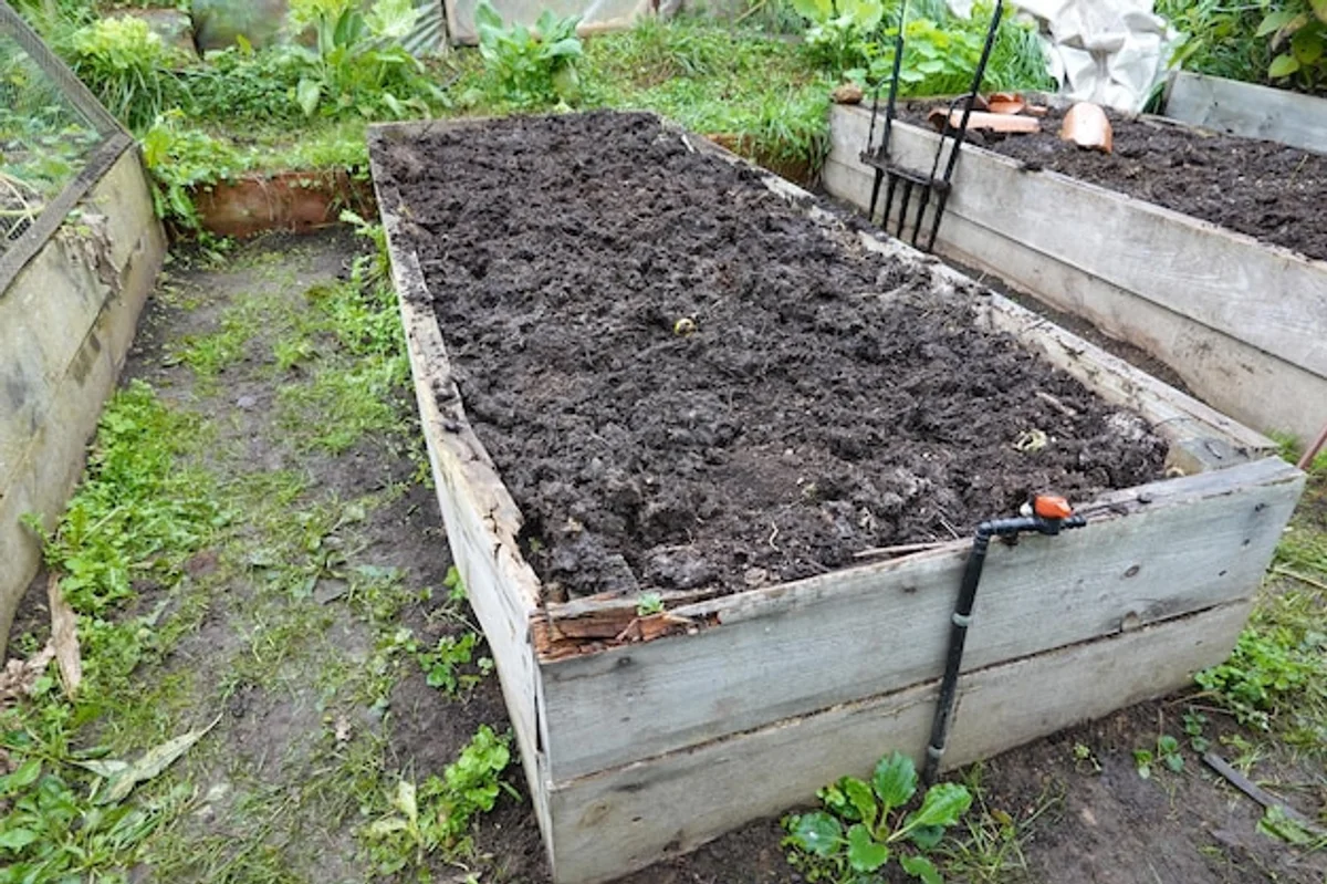 easy senior gardening design raised beds