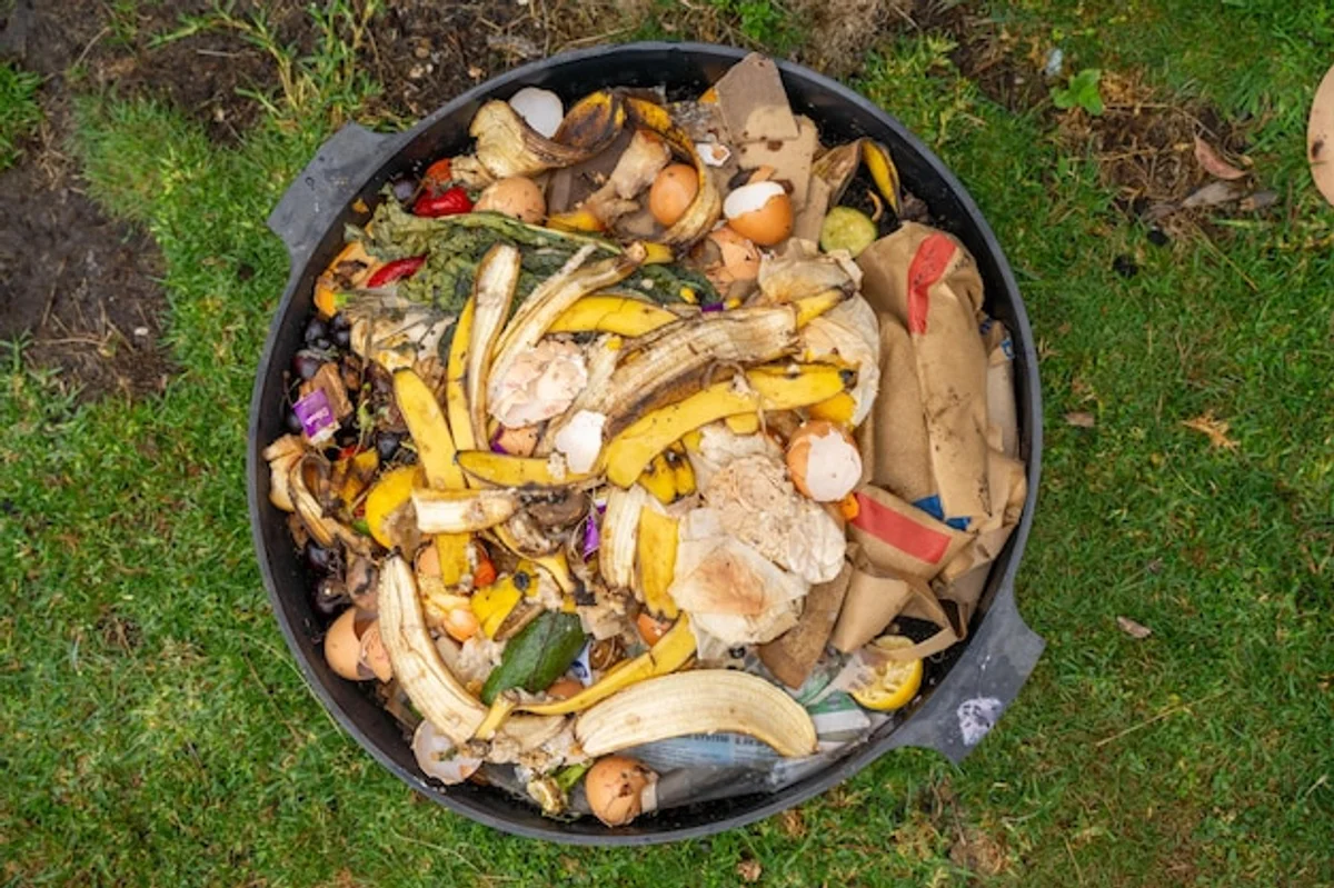 banana peels garden tomatoes fertilizer macro