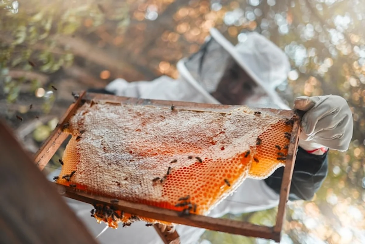 organic gardening backyard bee-friendly