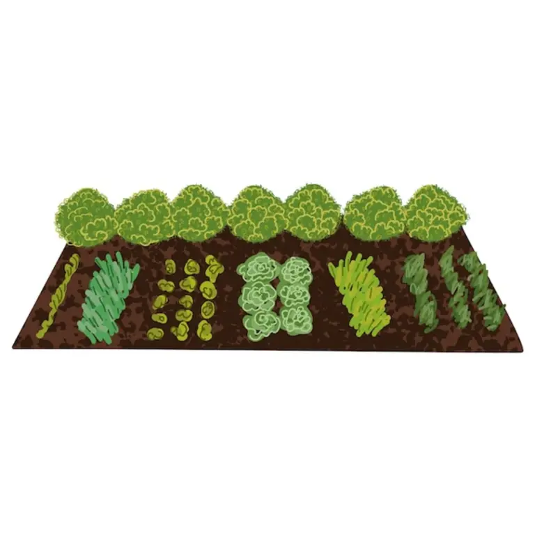 organic gardening natural tricks vibrant german backyard